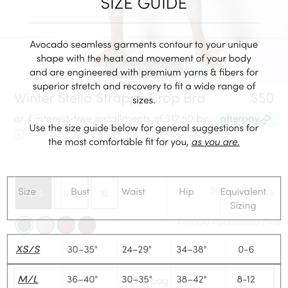 Avocado/Avomuse sports bra (FINALPRICEDROP) - Picture 3 of 3